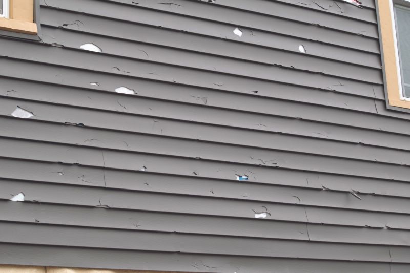 Siding Inspection